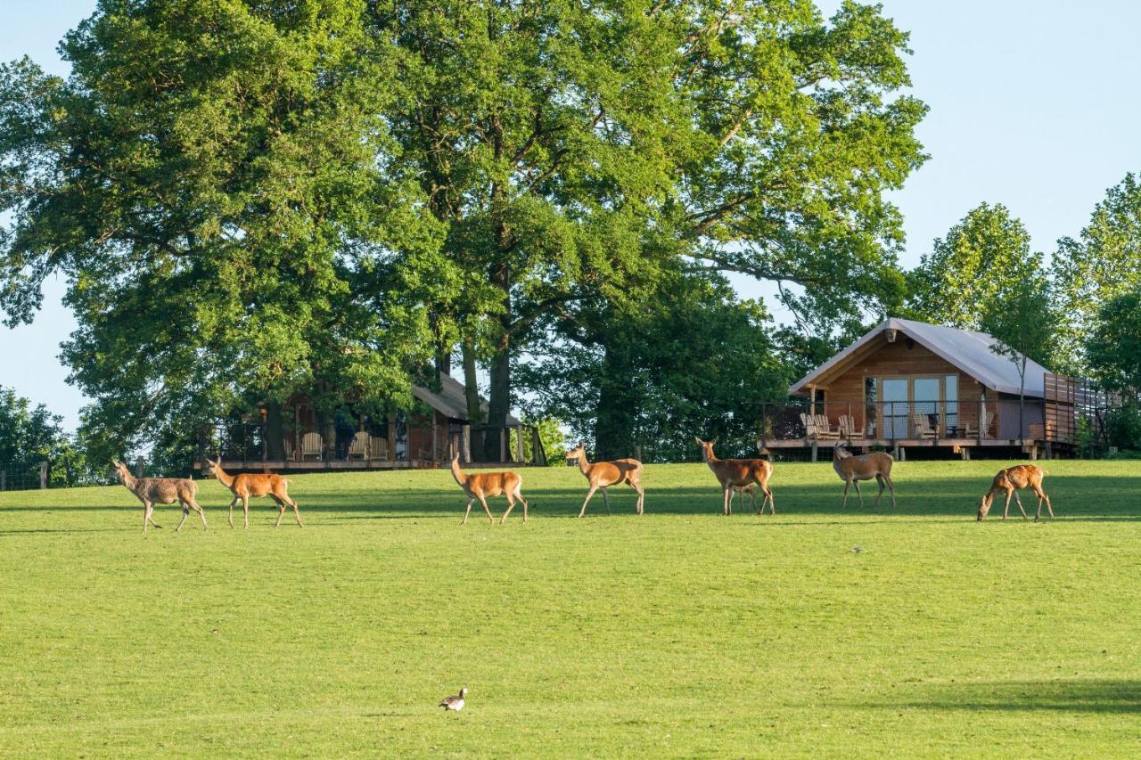 Parc Animalier De Sainte-Croix Ξενοδοχείο Rhodes Εξωτερικό φωτογραφία