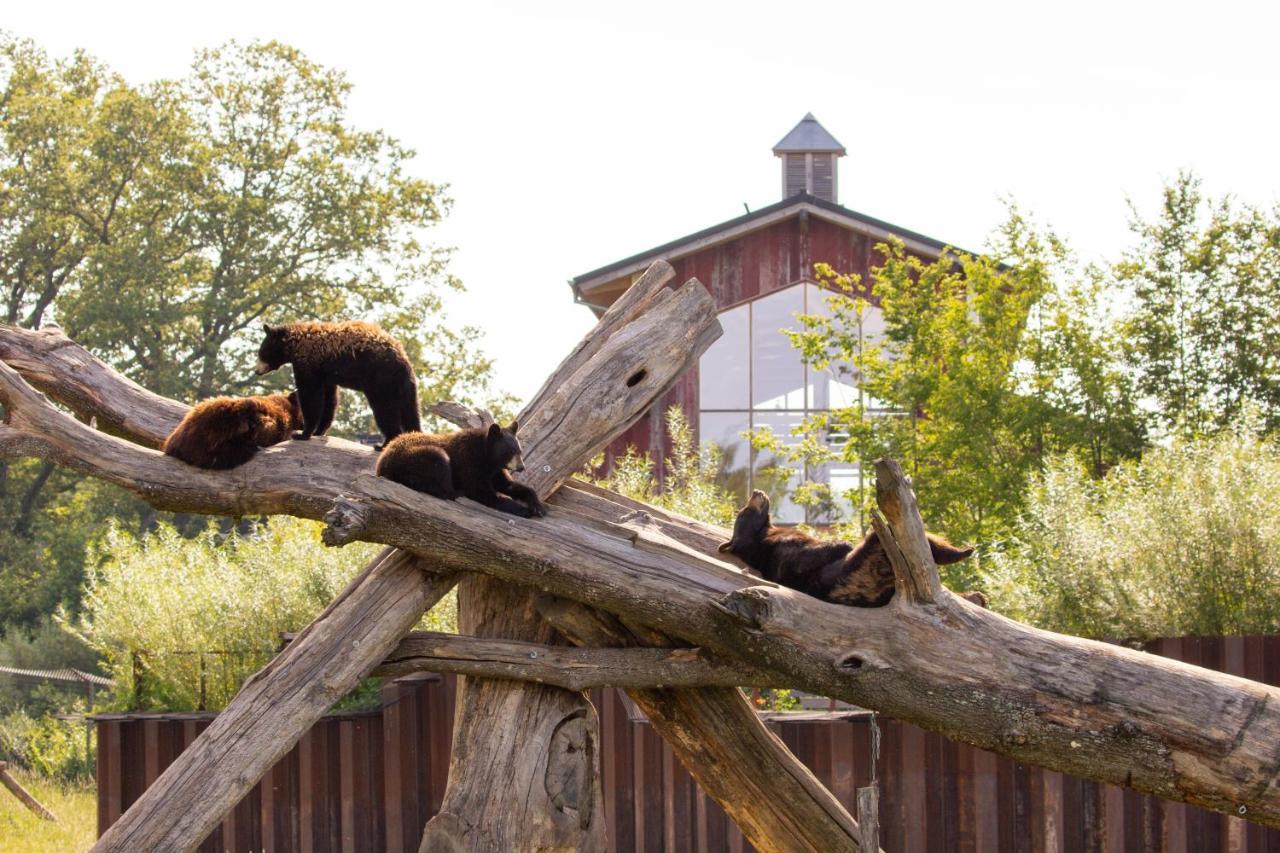 Parc Animalier De Sainte-Croix Ξενοδοχείο Rhodes Εξωτερικό φωτογραφία